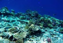 Senzo Mall购物图片