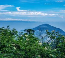 黔灵山公园-贵阳-YoYo_2W8F4Y1N