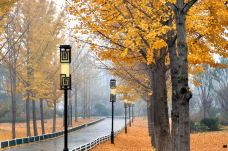 龟山汉墓-徐州-钟鸣a