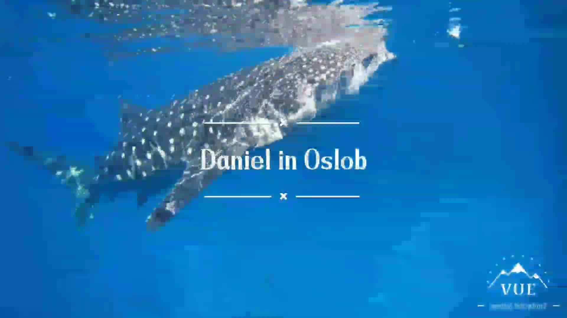 oslob看鲸鲨