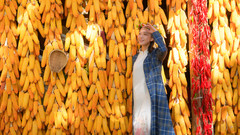 腾冲游记图片] 这个秋天，去腾冲邂逅一场秋天的童话