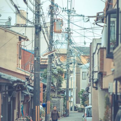 日本京都府清水寺+奈良公园+岚山+有马温泉+六甲山+伏见稻荷大社一日游