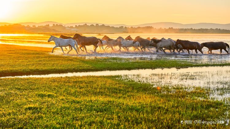 3-Day China + Inner Mongolia + Saihanba National Forest Park + Wulanbutong Steppe Tourist Area