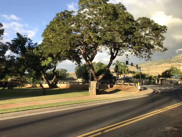 Maui