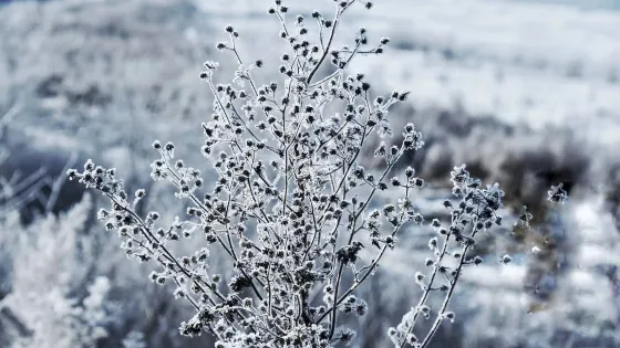 曾通村