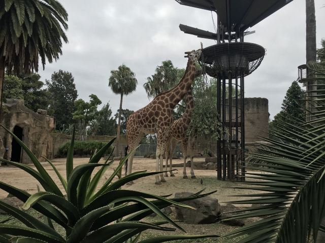 Melbourne Zoo