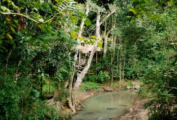 西双版纳野象谷+傣族园一日游/私家团+纯玩+市区酒店上门接送【[优质景点]了解南传佛教，参与泼水狂欢，观看孔雀放飞】