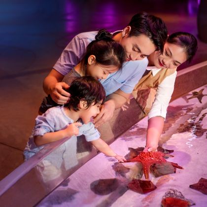 三亚+亚特兰蒂斯5日4晚拼小团