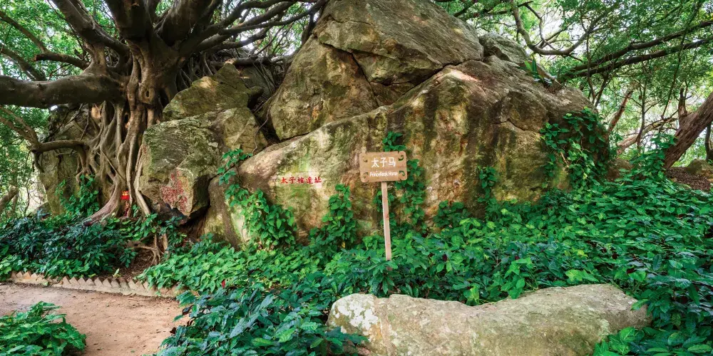 永安旅遊