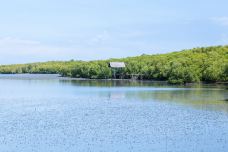 帕别岛-甲米-C-IMAGE