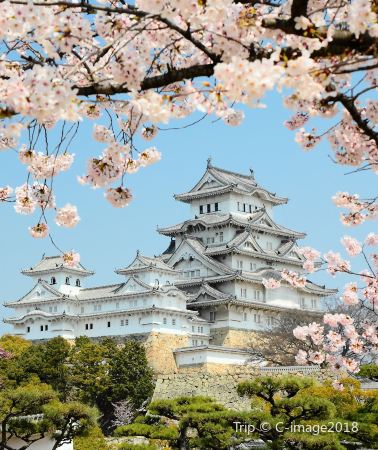 6天5晚 • 關西深度風情之旅 ・獨立成團 ・名城庭園巡禮｜瀨戶內海絕景｜鳴門漩渦觀潮｜大塚藝術＆阿波舞體驗｜父母ヶ濱海濱絕景