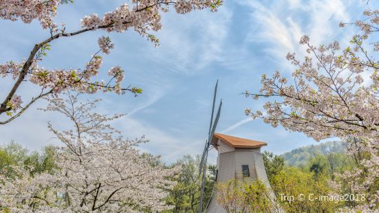 왕자만 공원