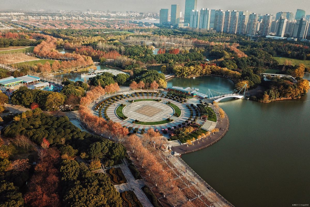 上海世纪公园景点图片