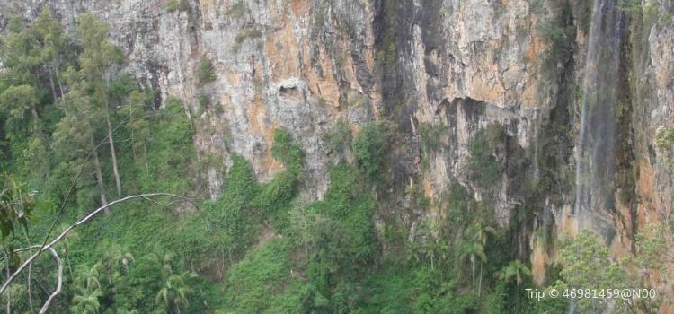 Springbrook National Park Travel Guidebook Must Visit Attractions