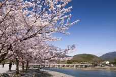 岚山-京都-尊敬的会员