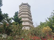 塔山公园-宁德-低调的悬念