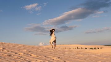 White Sand Dunes