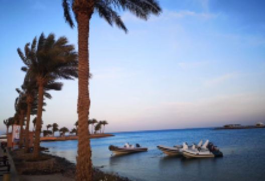 White Beach景点图片