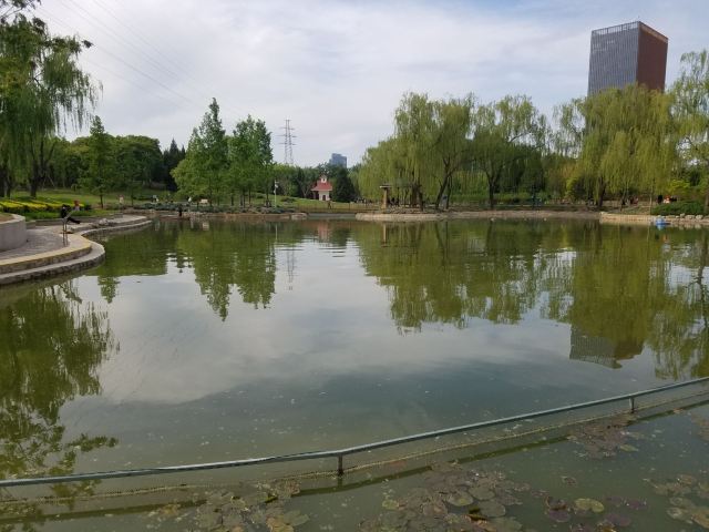 四得公园旅行图片 12