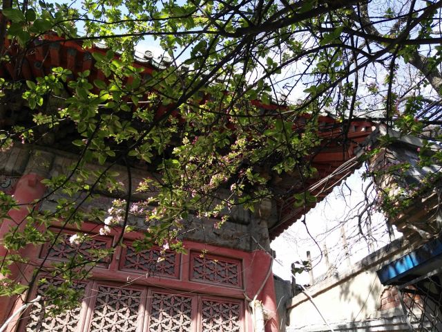 孚王府(不对外开放)旅行图片 1