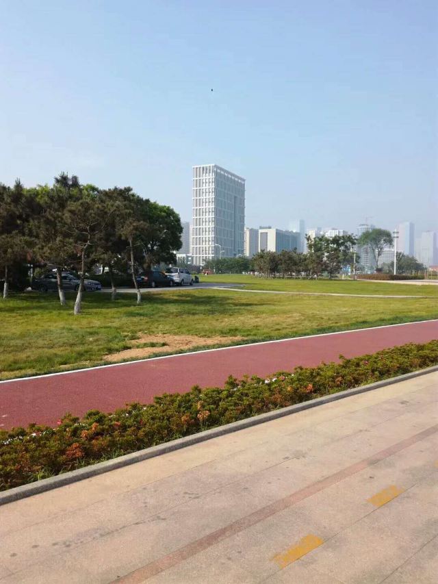 唐岛湾滨海公园-观景台旅行图片 1