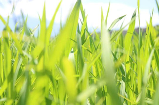 寻找记忆中沂水的夏天