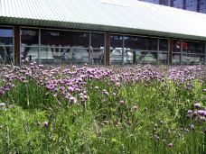 City Lake Natural Area-帕特南县