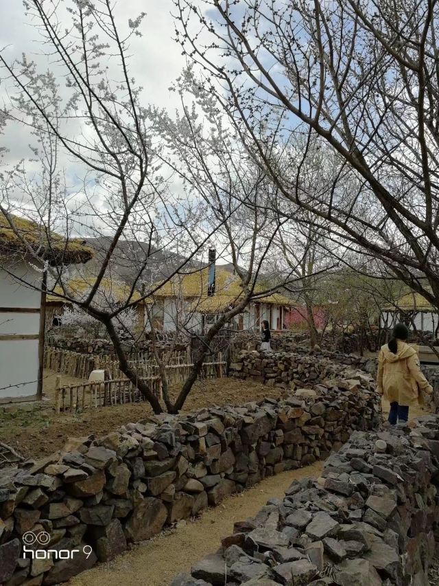 图们百年部落民宿(延边朝鲜族自治州店)旅行图片 2