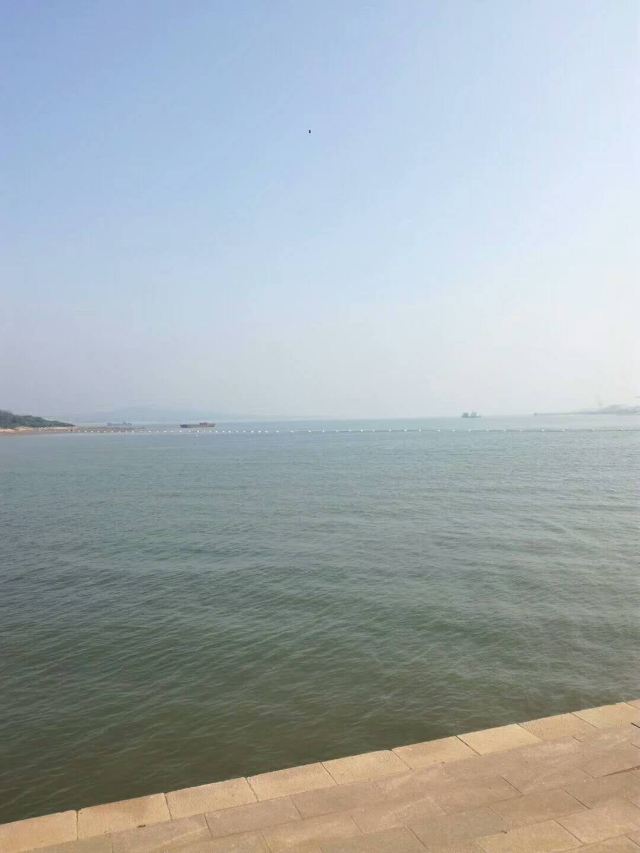 唐岛湾滨海公园-观景台旅行图片 3