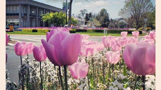 Rotorua Cycle Center