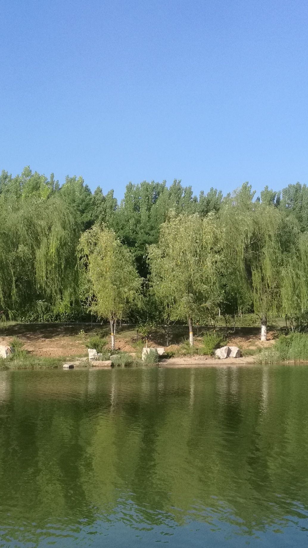 潍河