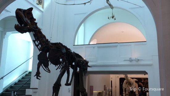 Sao Paulo Museum of Zoology