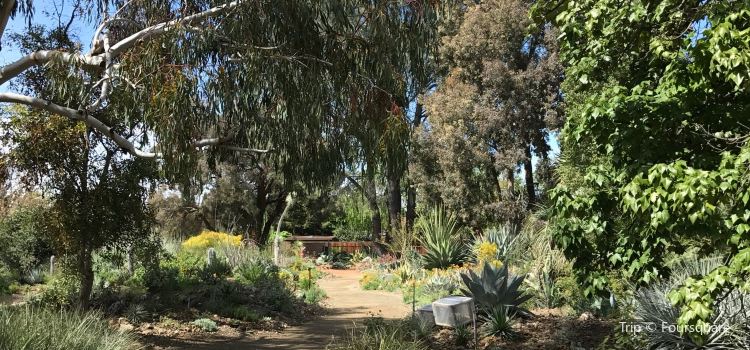 The Ruth Bancroft Garden Travel Guidebook Must Visit Attractions