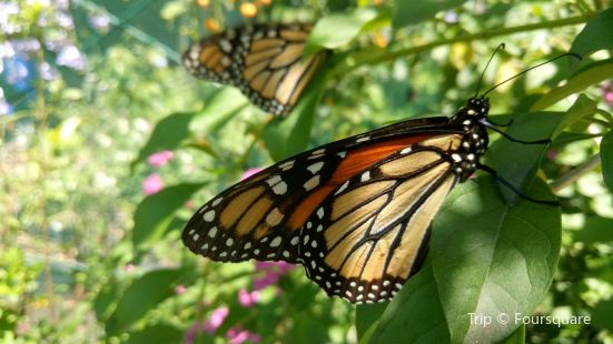 Bribie Island Seaside Museum Travel Guidebook Must Visit Attractions In Moreton Bay Regional Bribie Island Seaside Museum Nearby Recommendation Trip Com