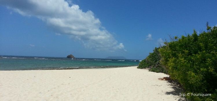 Anse A La Gourde Travel Guidebook Must Visit Attractions In