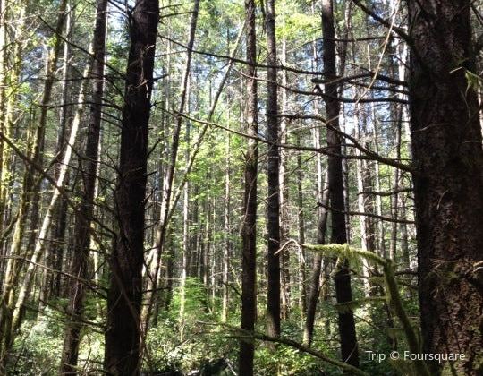 Banner Forest Travel Guidebook Must Visit Attractions In Kitsap