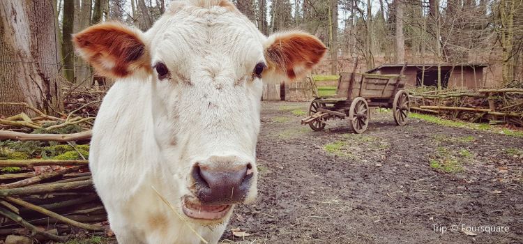 Tierpark Zittau Travel Guidebook Must Visit Attractions In Zittau