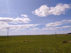 贡格尔草原-克什克腾旗-YoYo_9U3Y6M8H