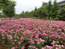 宁波植物园-宁波-YoYo_5S1G5H4K