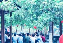 五龙潭平安农家乐美食图片