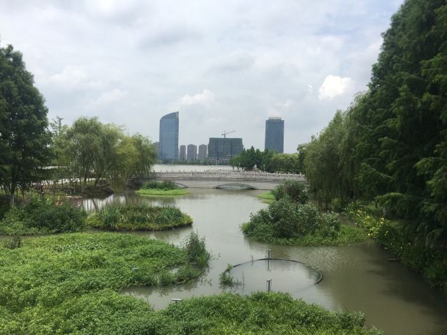 天镜湖公园旅行图片 4