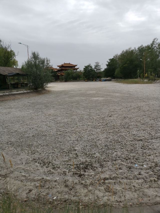 沙漠公园旅行图片 2