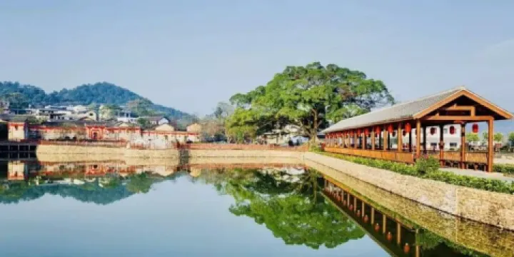 南茶園正桂景區