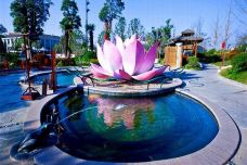 溱湖国家湿地公园-泰州-242278435