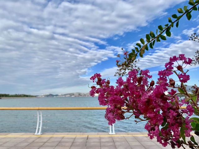 唐岛湾滨海公园-观景台旅行图片 5