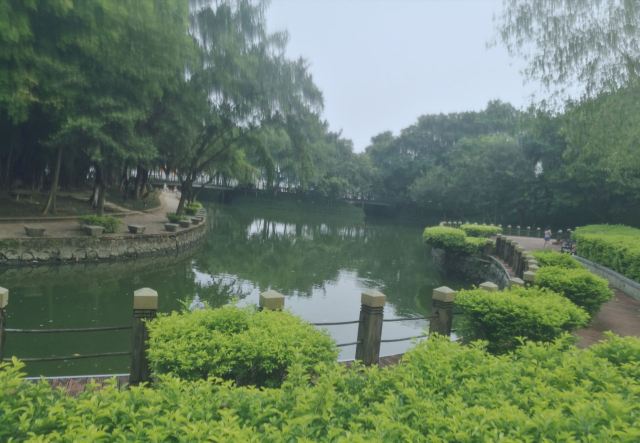 北滘公园旅行图片 1
