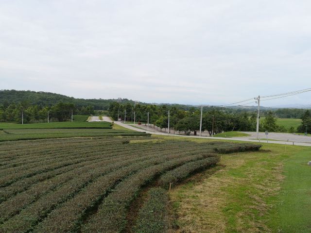 Boon Rawd Farm (Singha Park)