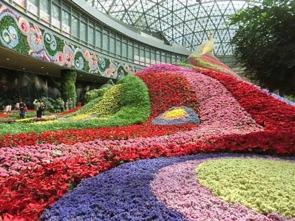花之城