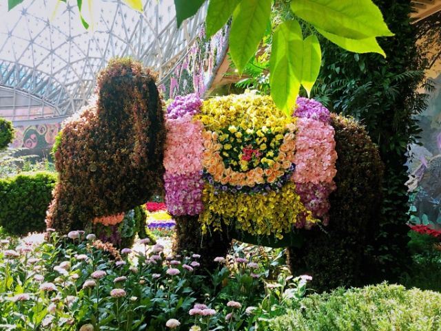 花之城