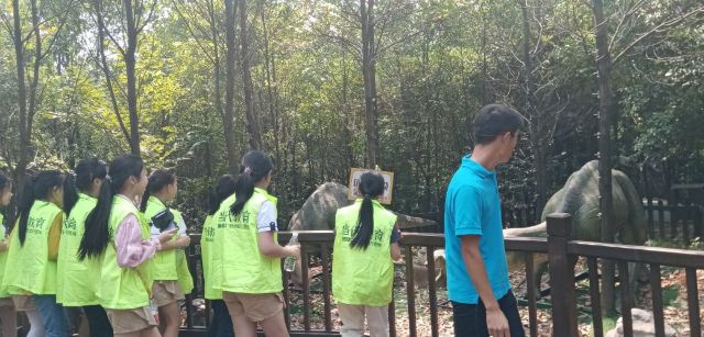 咸宁松鼠部落森林假日公园旅行图片 5